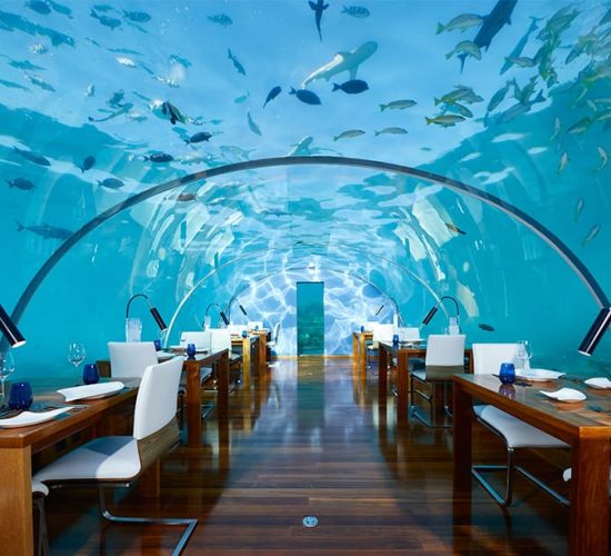 Ithaa undersea restaurant